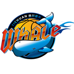 四川锦城后备队