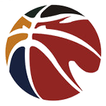 南北方星锐队直播