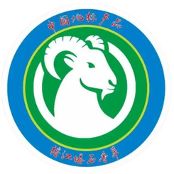 党相村直播