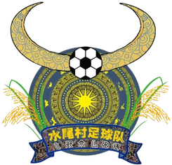 水尾村足球队直播