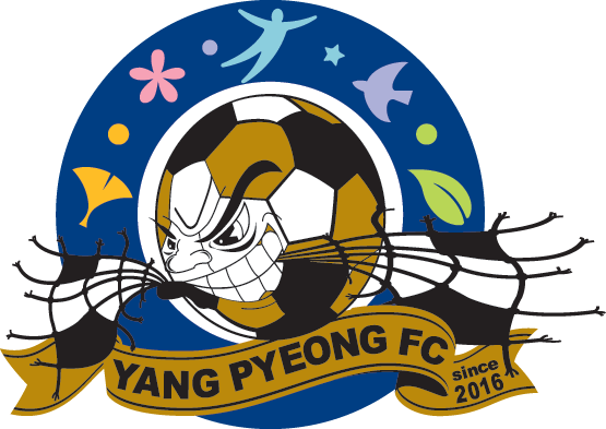 杨平直播