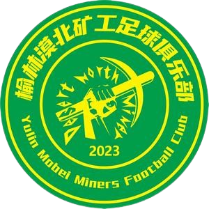 榆林漠北矿工直播